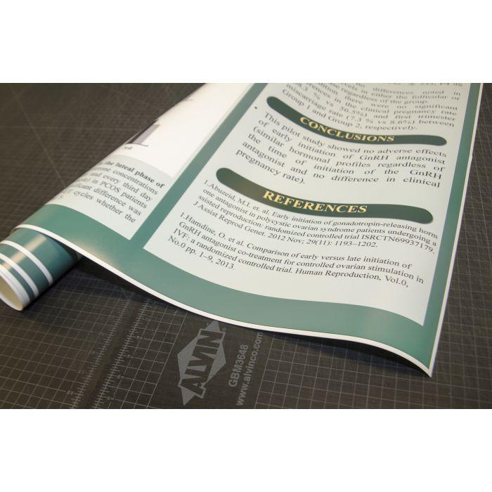 EpsonPremiumSemiglossPhotoPaperRoll-i2.jpg