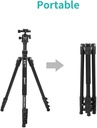 JMARYKT325_NB30Tripod6.jpg