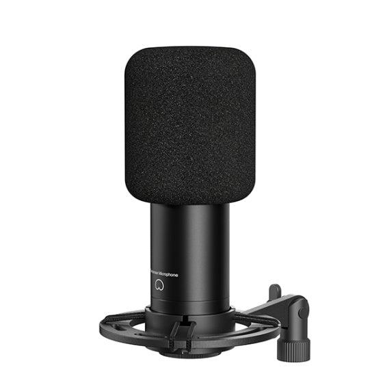 RymsAX100DCardioidCondenserXLRMicrophone2.jpg