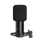 RymsAX100DCardioidCondenserXLRMicrophone2.jpg
