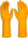 HGVP01-i2.jpg