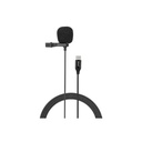 MC-R2-i4.jpg