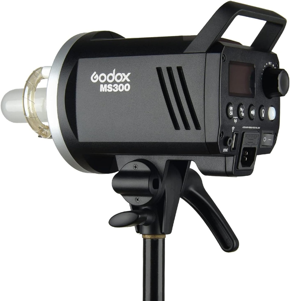 MS300-i4.jpg