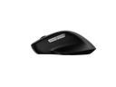 Rapoo-M50-i3.png