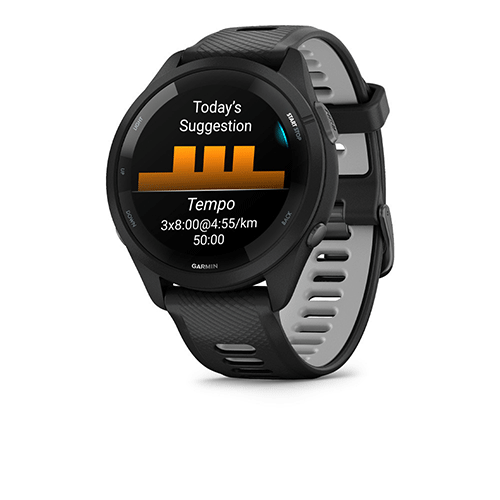 Garmin-GM010-02810-10-i2.gif
