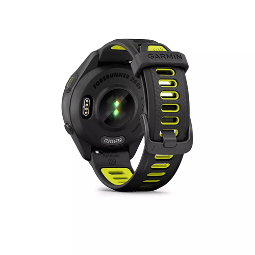Garmin-GM010-02810-13-i2.gif