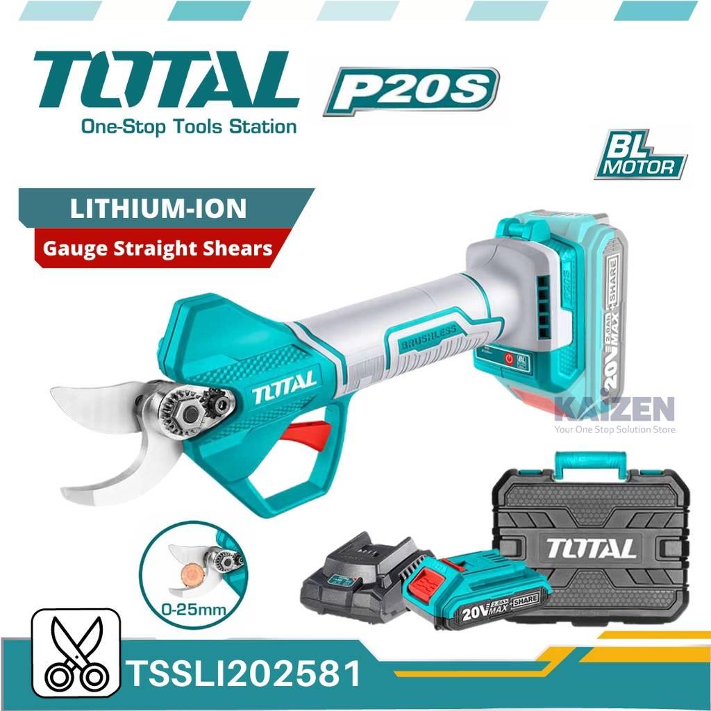 TSSLI-202581-i2.jpg