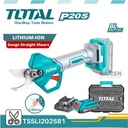 TSSLI-202581-i2.jpg