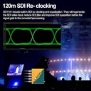 SD1141-3.jpg