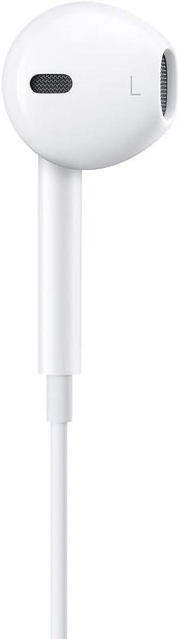 apple4.jpg