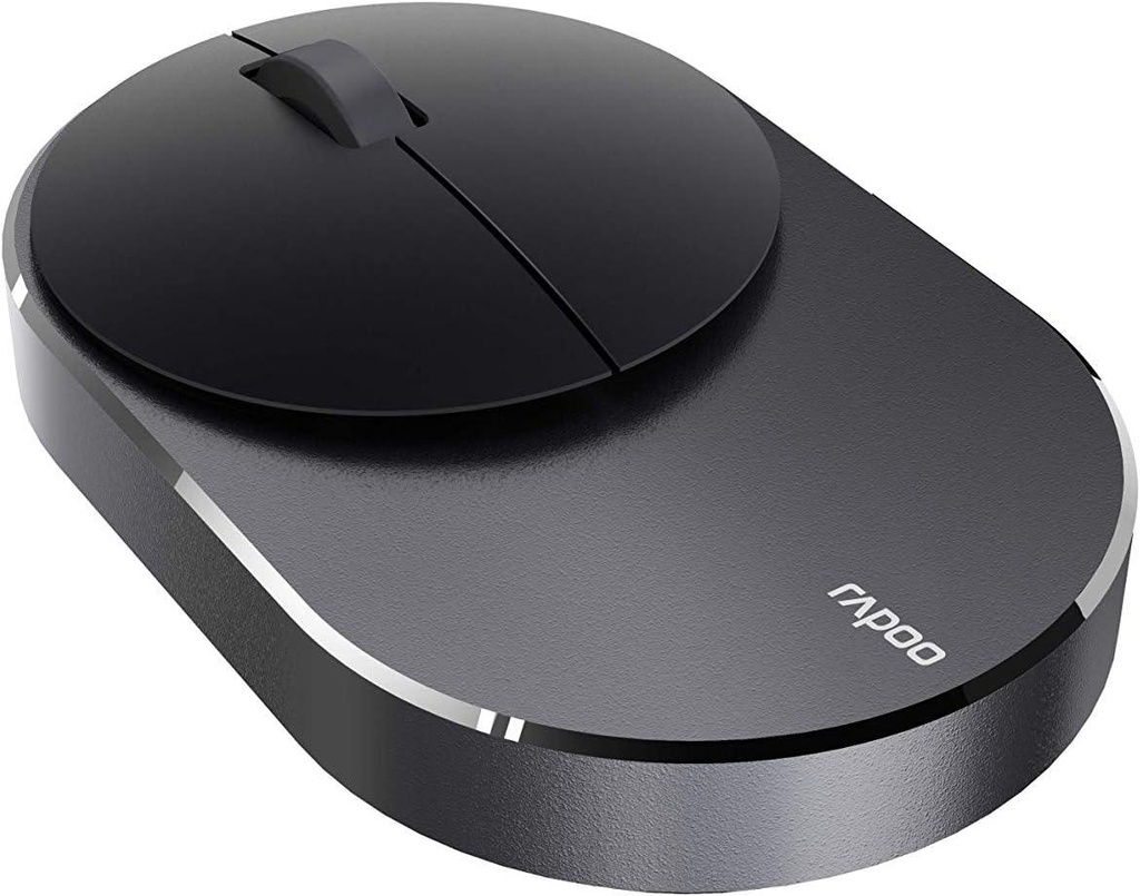 RapooM600-i3.jpg