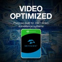 SeagateSkyHawk1TBSurveillanceSATAInternalHardDrive_ST1000VX005_-I4.jpg
