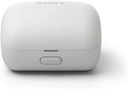 SonyWF-L900-i5.jpg