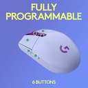 GG305-i6.jpg