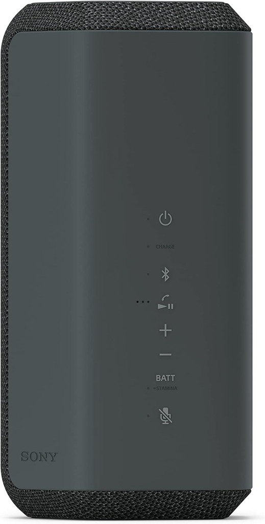 SonySRS-X300-i2.jpg