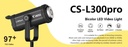 Caisi-CS-L300-i2.jpg