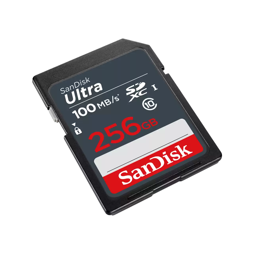 SanDisk_SDSDUNR-256G-GN3IN-i2.png