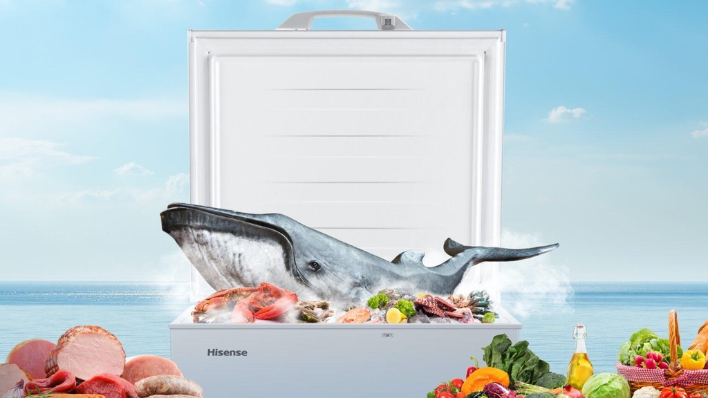 HisensefreezerFC142SH1_e2802cab-c751-413f-aee3-1c303206d647.jpg