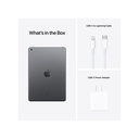 ipad4.jpg