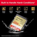 Sandisk_SDSDXVV-256G-GNCIN-i5.jpg