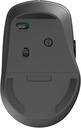 RapooM300-4.jpg