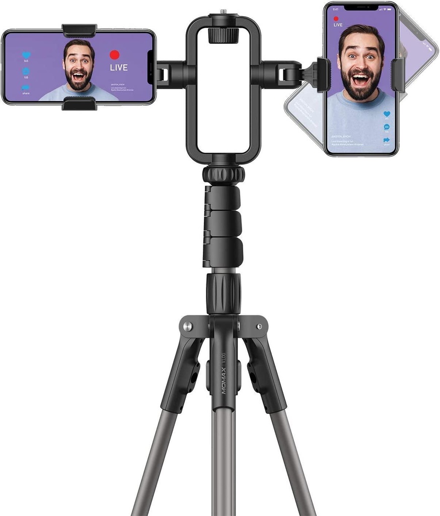 vl2.jpg