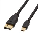 DisplayPortTOMINIDisplayPort.jpg