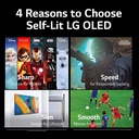 81gSg3jUeoL._AC_SL1500.jpg