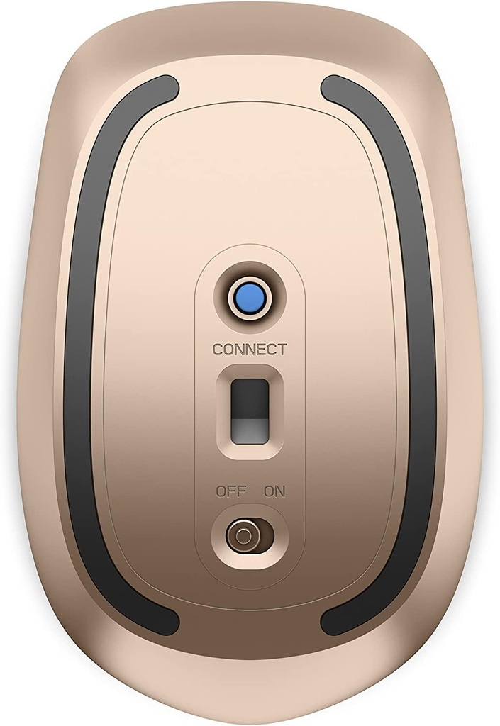 Z50003.jpg