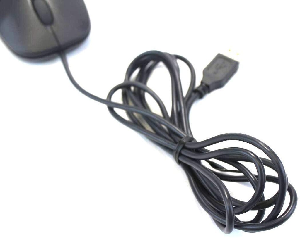 5177Y05zzBL._AC_SL1280.jpg