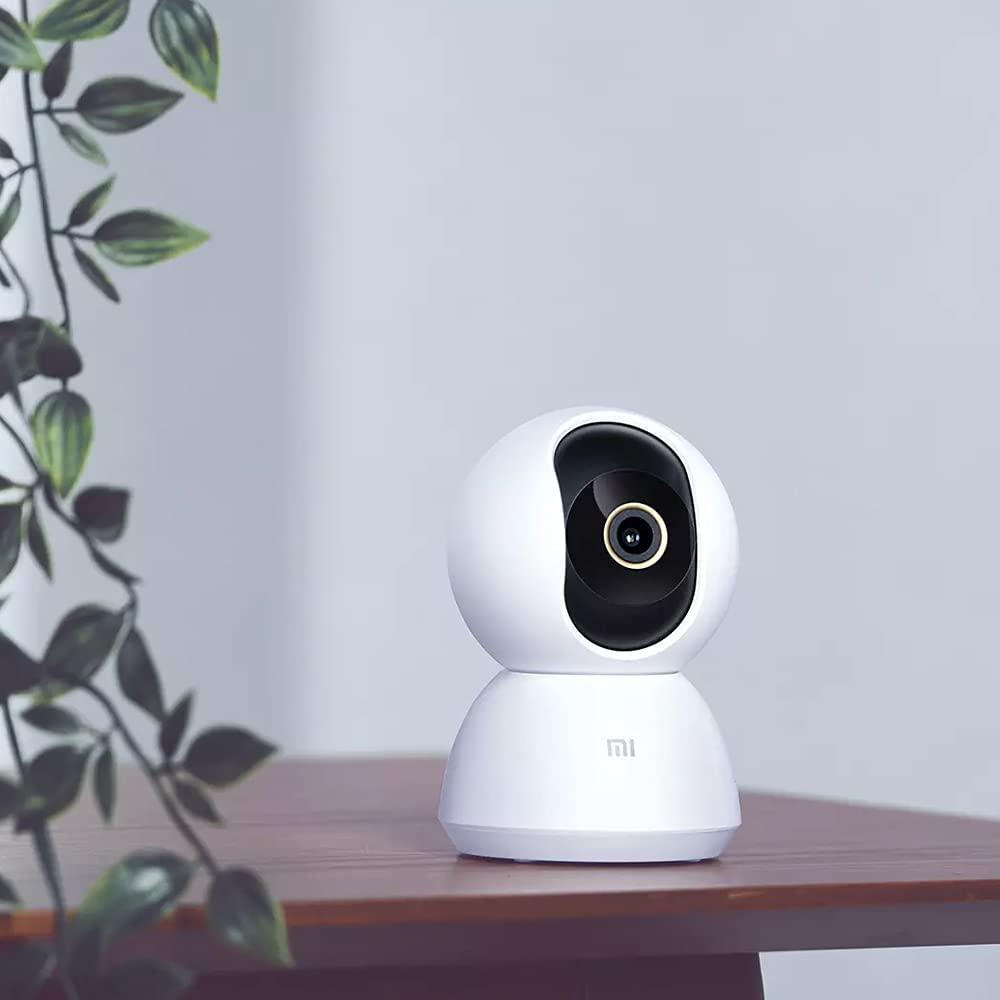 51r9vmh625S._AC_SL1000.jpg
