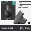 Vertical6.jpg