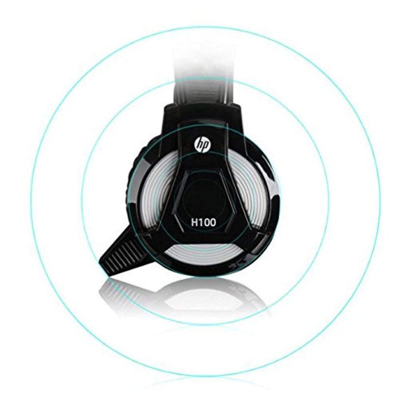 H1003.jpg