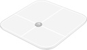 scale1.jpg