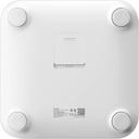 scale4.jpg