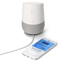 Google-Home-i6jpg.jpg