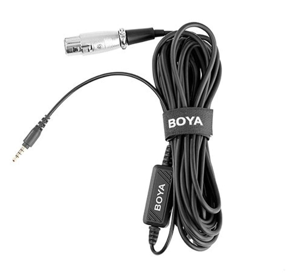 BOYA16.jpg
