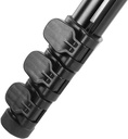 MP208F_05.jpg