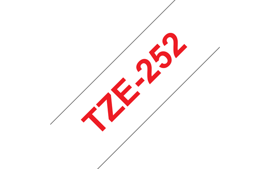 2_0f31794c-414d-4ed5-81da-d5e597abeefb.png