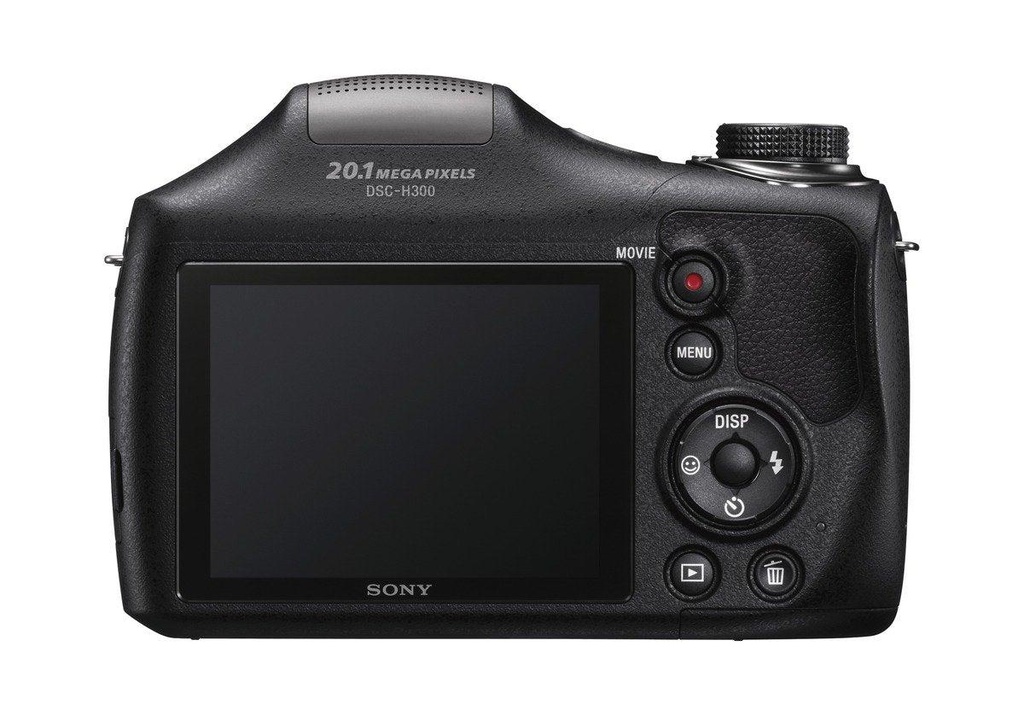 dsch300-image-5.jpg