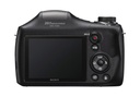 dsch300-image-5.jpg