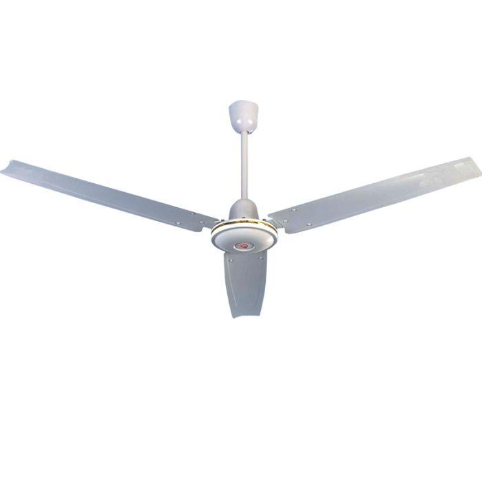 RM_420-i2.jpg