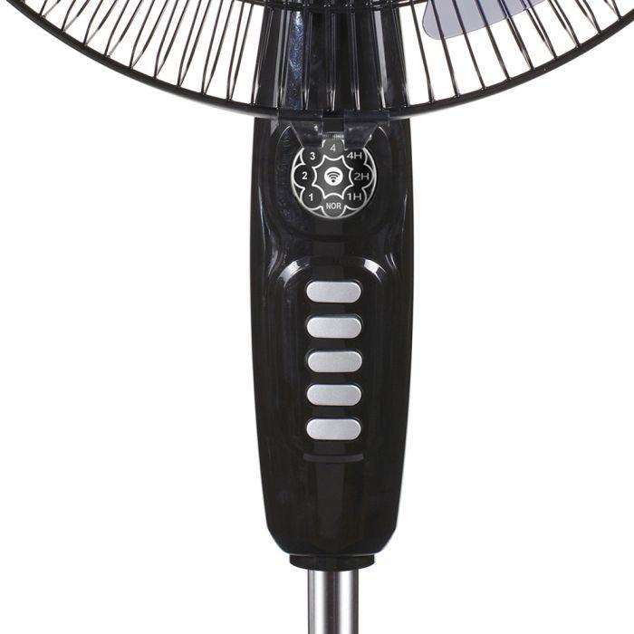 RM_669-i2.jpg