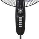 RM_669-i2.jpg