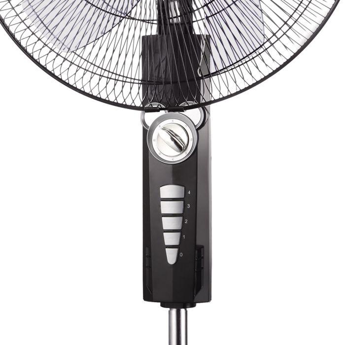 RM_668-i2.jpg