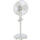 RM_260-i2.jpg