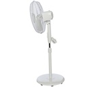 RM_260-i3.jpg