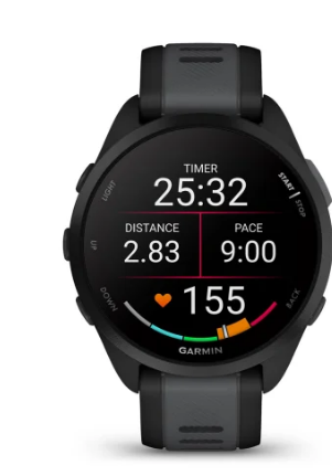 GARMINHFS.png