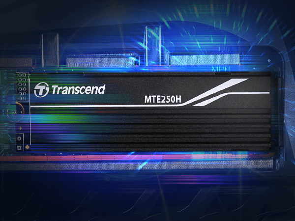 Transcend TS1TMTE250H 1TB 250H NVMe PCIe Gen4X4 M.2 2280 SSD