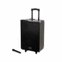 TAGWOOD LTS-10A Subwoofer Outdoor Speaker – Delivers powerful deep bass sound and clear audio performance, making it ideal for outdoor events, parties, and large open spaces